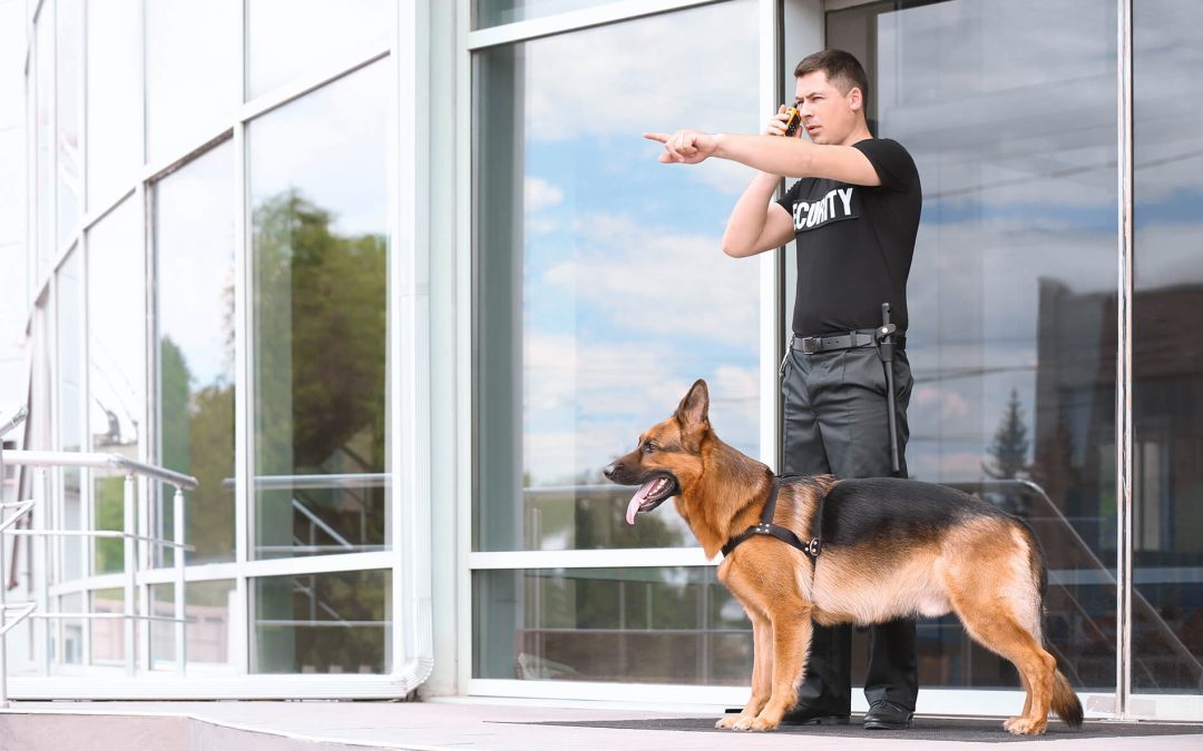 The Benefits of Having a K9 Security Presence for Your Business