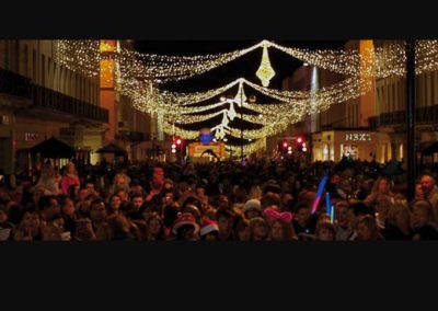 Dog Security Services in Birmingham